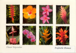 COLOMBIA , T.P. CIRCULADA , BOGOTÁ , FLORES TROPICALES , HELICONIA , HIBISCUS , GINGER , ORCHID - Kolumbien
