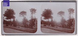 Marseille Environs Jolie Photo Stéréoscopique 12,5x5,5cm Vers 1890/1900 Parc Jardin Public A69-13 - Stereoscopio