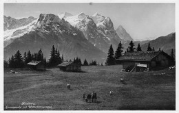 Hasliberg Gummenalp Mit Wetterhorngruppe 1935 Kuhe - Hasliberg