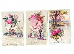 Lot 3 Cartes Images - Illustration E. BOUE , à SAINT MAIXENT - Fleur Oiseau - Saint Maixent L'Ecole