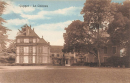 Coppet Le Château 1925 - Coppet