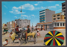 119133/ SINT-IDESBALD, Strand En Dijk - Koksijde