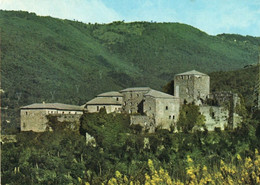 PONTREMOLI - IL CASTELLO DEL PIAGNARO -  F.G. - STORIA POSTALE - Massa