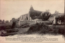 MAILLEZAIS  ( VENDEE )     RESTES DE  L ' ABBAYE - Maillezais