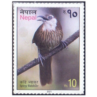 NEPAL 2021 – Spiny Babbler 1v Stamp Bird, Birds  Mint MNH (**) - Nepal