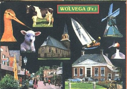 Nederland Holland Pays Bas Wolvega Een Veelzijdig Dorp - Wolvega