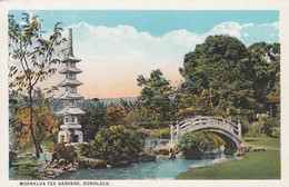 Honolulu Hawaii, Moanalua Tea Gardens Damon Estate Park, C1910s/20s Vintage Postcard - Honolulu