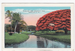 Honolulu Hawaii, Poinciana Tree Moanalua Park, C1910s/20s Vintage Postcard - Honolulu