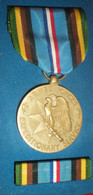 MEDAILLE USA - ARMED FORCES EXPEDITIONARY SERVICE - Altri & Non Classificati