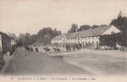 22   LAMBALLE       Le Haras -Cour D'honneur - La Promenade     TB PLAN  Env. 1915    RARE - Lamballe