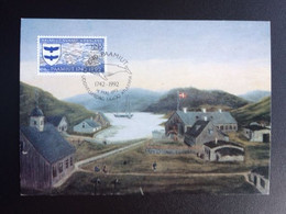 GREENLAND 1992 PAAMIUT MAXIMUM CARD MI 225 GRONLAND GROENLAND - Cartoline Maximum