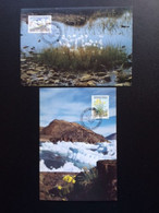 GREENLAND 1989 FLOWERS MAXIMUM CARD MI 197/98 GRONLAND GROENLAND BLOEMEN - Cartoline Maximum