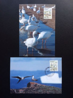 GREENLAND 1990 BIRDS MAXIMUM CARD MI 199/00 GRONLAND GROENLAND VOGELS - Cartes-Maximum (CM)