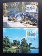 FINLAND SUOMI 1986 EUROPA CEPT MAXIMUM CARD MI 985/86 VOGELS BIRDS ZEEHOND NATURE CONSERVATION - Maximum Cards & Covers