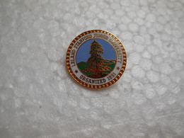 NO Pin's Broche Leland Stanford Junior University, Université De Recherche Californie (licence Officielle) RARE....BT16 - Administrations