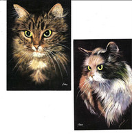 2 CPSM CHAT Illustrés Par Schrub N° 09 & 10 - GF - Aspect Toilé - Ed. D'Art YVON - Non Circulées - Gatos