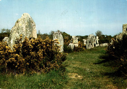 N°91098 -cpsm Carnac -mes Alignements Mégalithiques- - Dolmen & Menhirs