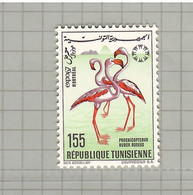 Tunisia 1967, Bird, Birds, Greater Flamingo, 1v, MNH** (New Face Value) - Flamingos