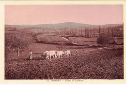 71 - Saone Et Loire -  RIMONT ( Fley ) - Scene De Labours - Agriculture - Otros Municipios