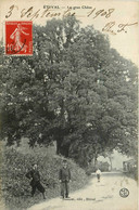 étival * Route Et Vue Sur Le Gros Chêne * Arbre - Etival Clairefontaine