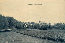 Vignoux * Vue Générale Du Village - Other & Unclassified