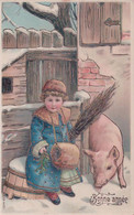 Bonne Année, Jeune Fille Et Petit Cochons, Litho Gaufrée (14173) - Año Nuevo