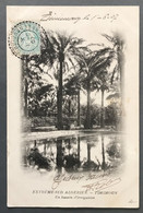 France, Algérie - N°111 Sur CPA - TAD Perlé TIMMIMOUN, Oasis Sahariennes 1907 - (A118) - 1877-1920: Période Semi Moderne