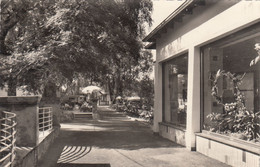 A9560) Restaurant BAD STÖLPCHENSEE - BERLIN WANNSEE - Kohlhasenbrücker Straße - 16.7.1952   Geschäft ALT - Wannsee