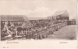 Kerring Workers Shetland édition  N°2770-10 Métier - Shetland