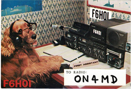 QSL Card Amateur Radio Funkkarte 1982 France Beziers Marcel Lhotellier Chien Dog Hond Hund - Amateurfunk