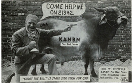 QSL Card Amateur Radio Funkkarte 1979 Shoot The Bull GUN QSO Jacksonville Florida - Amateurfunk