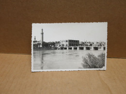 DEIR EZ ZOR (Syrie) Carte Photo Bord De Rivière Pont Mosquée - Siria