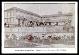 VALE DE CAMBRA - MACIEIRA DE CAMBRA -Quinta Progresso.  Carte Postale - Aveiro