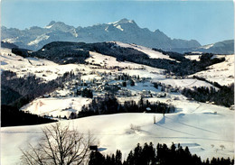 Trogen AR Mit Pestalozzidorf, Altmann Und Säntis (37153) * 7. 1. 1993 - Trogen