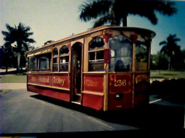 USA  Naples Dolly The Trolley 1989 Florida Tramway First National United States Of America Tram N1980 IO6569 - Naples