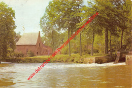 De Watermolen - Grobbendonk - Grobbendonk