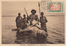 CARTE ETHIOPIE. ABYSSINIE HIPPOPOTAME LAC MARGUERITE. 3t LION-LIONNE. 22 11 1931 ADDIS-ABBEDA - Ethiopie