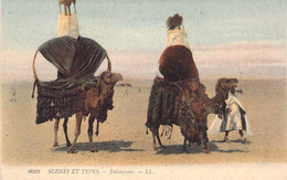 Scènes Et Types 6022 - Palaquins - Chameaux Et Plumes D'autruches - SAHARA - Non Voyagée - Escenas & Tipos