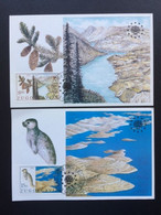 JUGOSLAVIJA 1982 NATURE MAXIMUM CARDS JOEGOSLAVIE JUGOSLAVIA DIEREN ANIMALS BLOEMEN FLOWERS SEALS - Maximumkarten