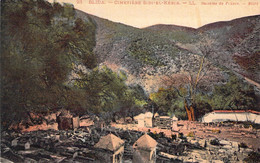 Blida - Cimetière Sidi El Kébir - Galeries De France - Blida