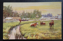 OLD OILETTE 1916 Circulated Firma GILETTE - TUCK'S POSTKARTE N*431 - POST CARD / CARTE POSTALE - Zonder Classificatie