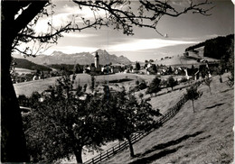 Speicher AR - Blick Zum Säntis (32744) - Speicher