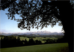 Höhen-Restaurant Waldegg, Teufen AR * 15. 4. 1997 - Teufen