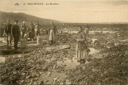 Villerville * La Moulière * Pêche Aux Moules * Pêcheurs - Villerville