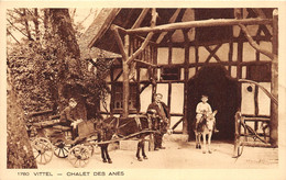 88-VITTEL-CHALET DES ANES - Contrexeville