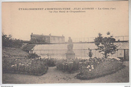 N°493  VAR.LA CRAU.ETABLISSEMENT D'HORTICULTURE JULES AUDIBERT.VUE D'UN MASSIF DE CHRYSANTHEMES LEMAIRE Phot.HYERES - La Crau