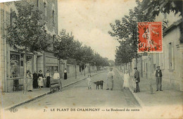 Champigny * Le Plant * Le Boulevard Du Centre * épicerie * Villageois - Champigny Sur Marne