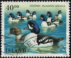 Islande 1996 Oblitéré Used Oiseaux Canard Bucephala Islandica Garrot D'Islande Y&T IS 794 SU - Usados