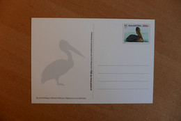 Postal Stationery, Pelican - Pélicans