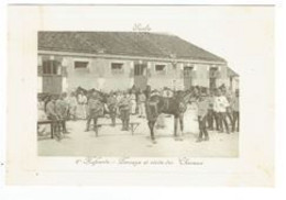 2 RH SENLIS PANSAGE ET VISITE DES CHEVAUX - Regimente
